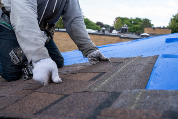Best Affordable Roofing Company  in Bridge City, LA