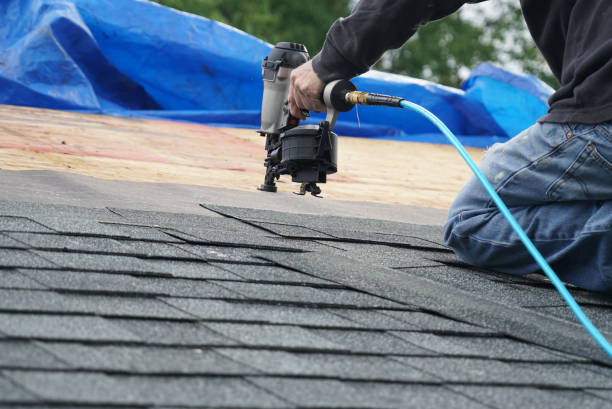 Best Roof Gutter Cleaning  in Bridge City, LA