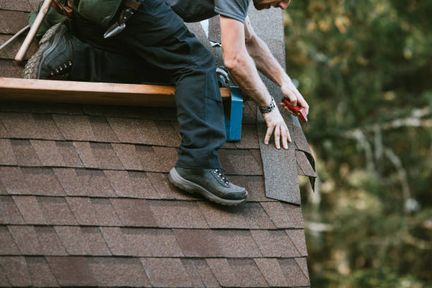 Best Gutter Installation and Roofing  in Bridge City, LA